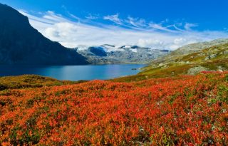 Miért éppen Norvégia – 5 tipp egy üdítő nyaraláshoz