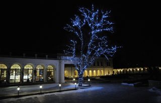 Balatoni borkarácsonyfa a Városligetben