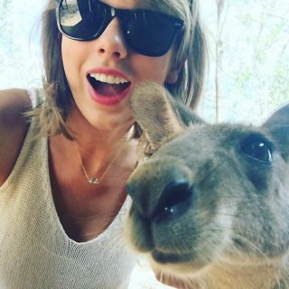 A kenguru, aki Taylor Swifttel selfiezett