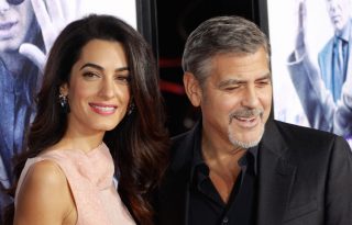 George Clooney és felesége többszörösen sérült kutyust fogadnak örökbe