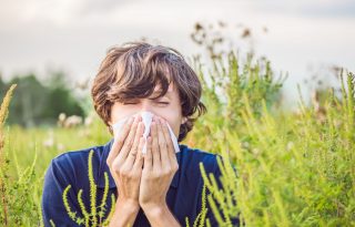 Last minute tippek allergiára