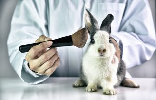 Szépség állatkínzás nélkül: útmutató a cruelty free kozmetikumokhoz