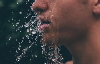 Higgy a szomjadnak: a vízivás tudománya