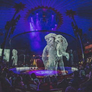 A cirkusz, ahol nincs állati szenvedés, csak hologram