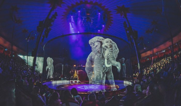 A cirkusz, ahol nincs állati szenvedés, csak hologram