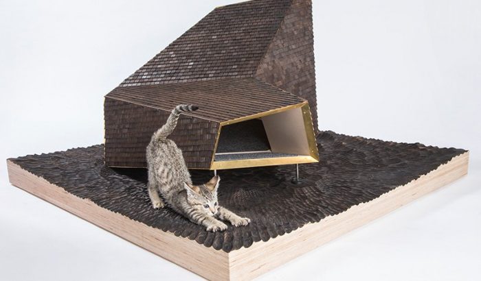 Egy Los Angeles-i építész kóbor cicáknak tervezett álomotthonokat