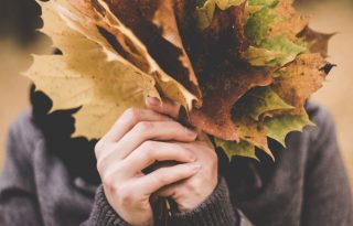 Zamatos őszi szépségújdonságok, ha a természetes összetevőket keresed