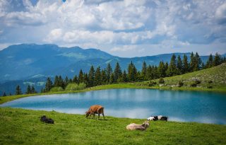 Így utazunk mi: rejtett kincsek a szlovén Alpokban