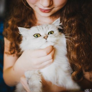 Macskaoltás segíthet, ha allergiás a gazdi