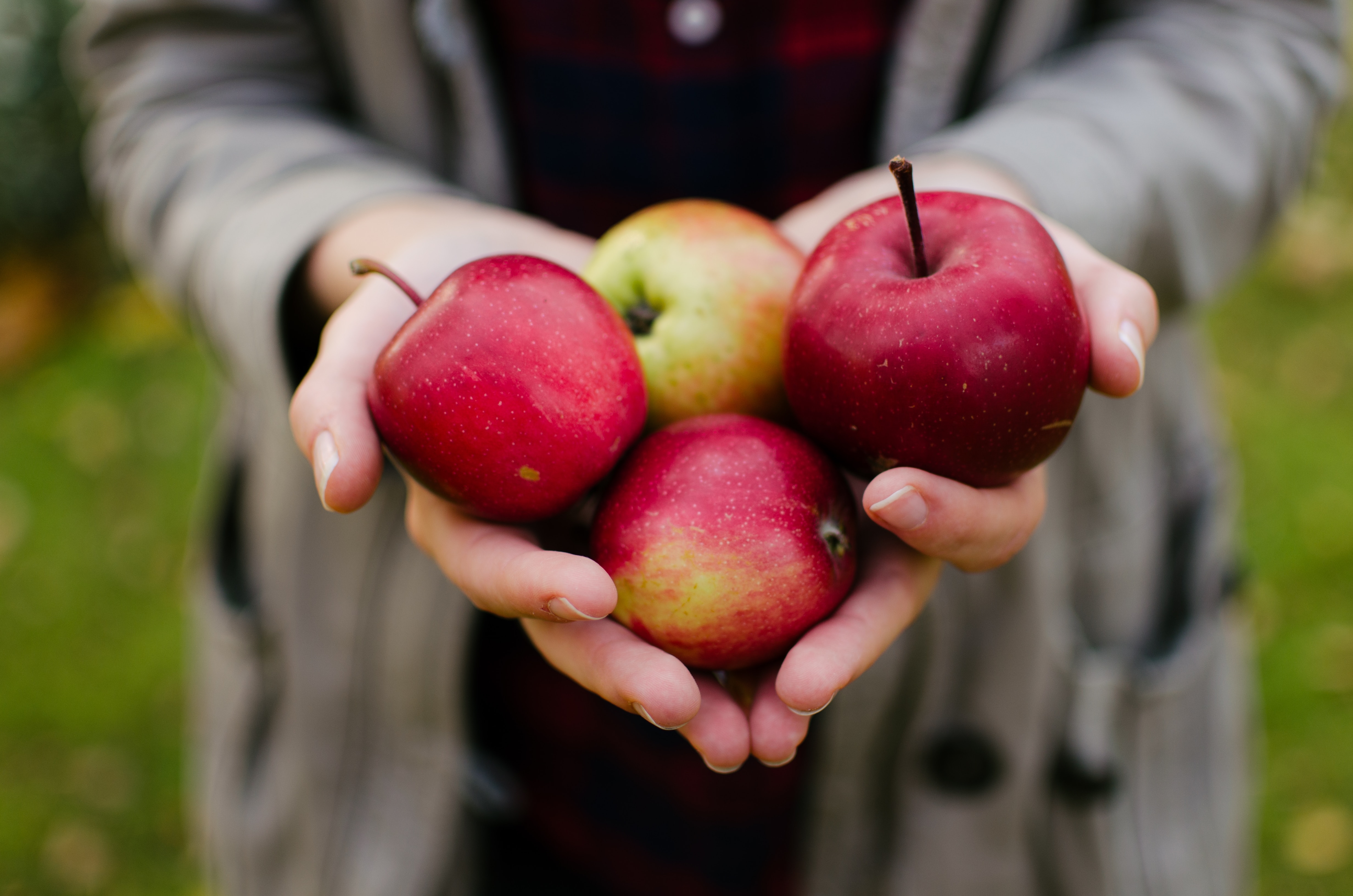 napi alma a szív egészségéért