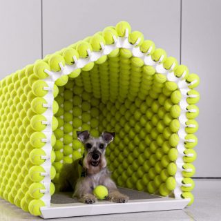 Minden kutya álma a teniszlabdákból épített ház