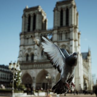 Megnyithatják tavasszal a Notre-Dame egy részét