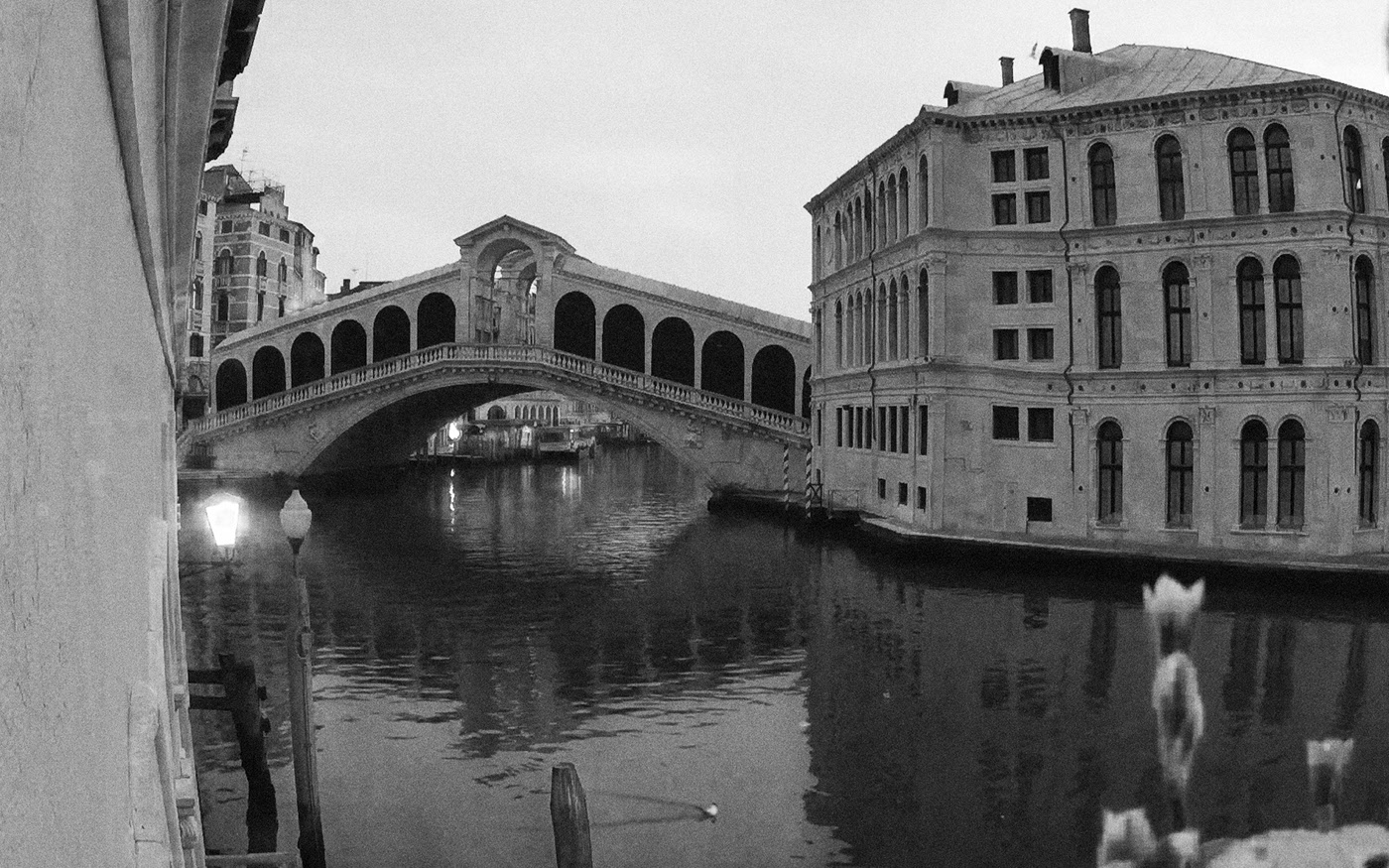 20. kép: Úszó sirály a csendes Grand csatornán, a híres Rialto-híd előtt. 