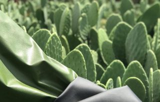 Fenyőtű, alga és kaktusz: izgalmas alapanyagokból készülnek a jövő ruhái