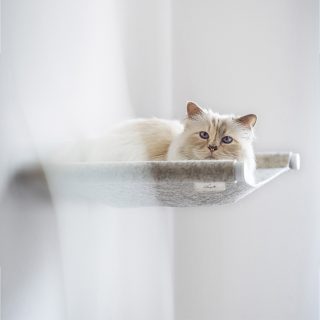 Lagerfeld macskája függőágyat tervezett