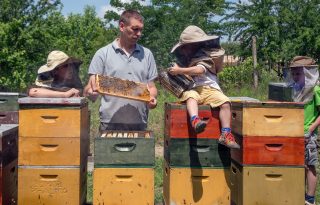 „Egy csapat vagyunk az asztalnál és a vállalkozásban is” – egy magyar családi méhészet napjai