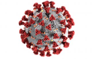 A koronavírus-antitestek tovább megmaradhatnak, mint gondolták