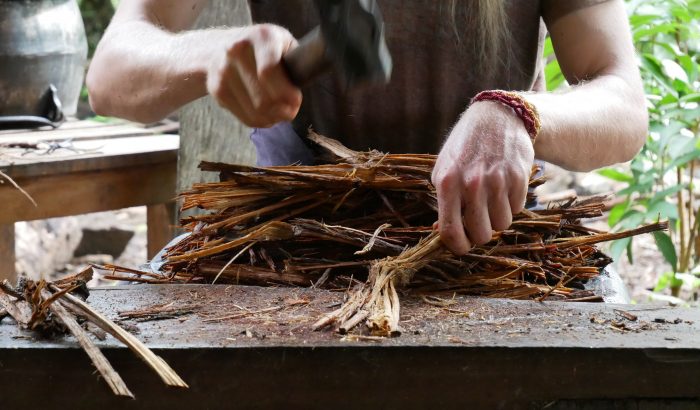 Növényi tanítómesterek – mi az az ayahuasca?