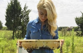 A méhekkel suttogó puszta kézzel menti a méheket