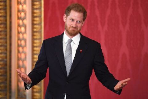 Harry herceg civil munka