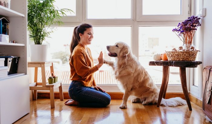 Tippek a kutyaiskolából: 5 trükk, amit te is megtaníthatsz a kutyádnak