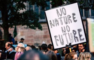 10 nő, aki keményen küzd a klímaváltozás ellen, mégsem hallunk róluk eleget