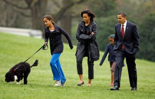 Meghalt Bo, az Obama család kutyája