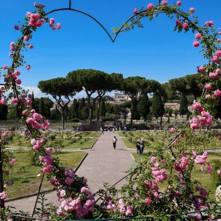 Pazar látványt nyújt Róma virágba borult tózsakertje