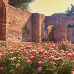 Rózsakert Rómában - Rózsavirágzás a Rózsakertben