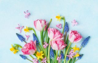 10 tipp, hogy tovább maradjon friss a vágott virág