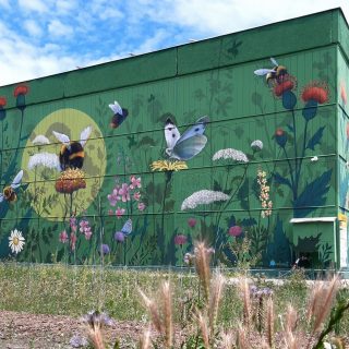 Óriási falfestmény hívja fel a figyelmet a méhek fontosságára
