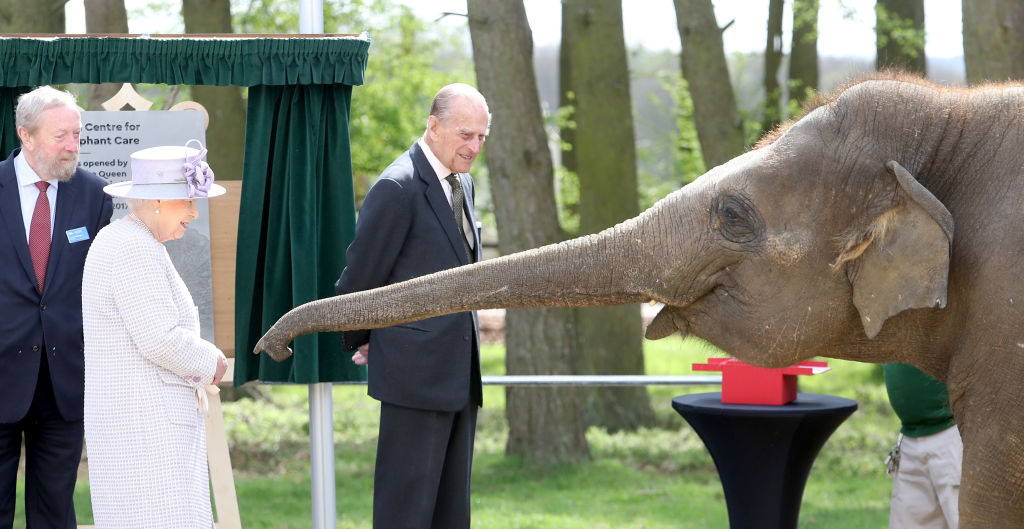 II. Erzsébet királynő és Fülöp herceg 2017-ben elefántot etet