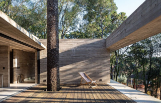 Magasba nyúló fa köré épült a brazil villa