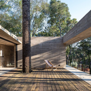 Magasba nyúló fa köré épült a brazil villa