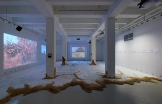 Hegymozgatás hat lépésben: egy szebb jövőért kiált a Trafó Galéria új kiállítása