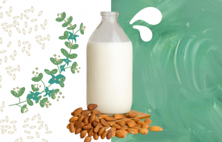 Tényleg károsak a növényi tejek?
