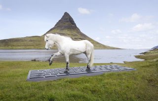 Nyaralni mész? Majd az izlandi lovak megírják az automatikus választ helyetted!