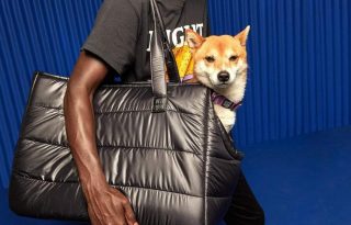 Menő táskában viheted magaddal a kutyádat