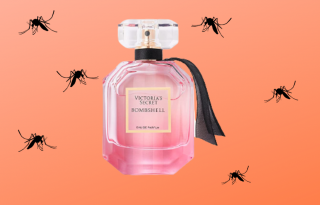 A Victoria’s Secret parfümje a titkos fegyver szúnyogok ellen