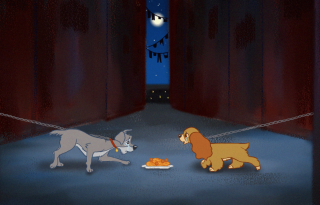Disney-kutyák hívják fel a figyelmet az állatok bántalmazására