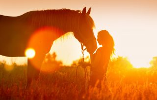 A lovak lehetnek a legjobb pszichológusaink