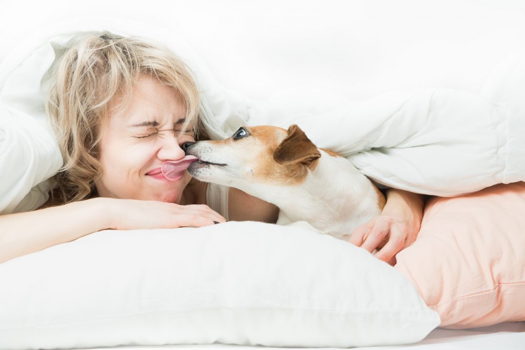 Nem kifejezetten veszélyes, ha kapunk egy puszit a kutyánktól, de lehetnek kockázatai