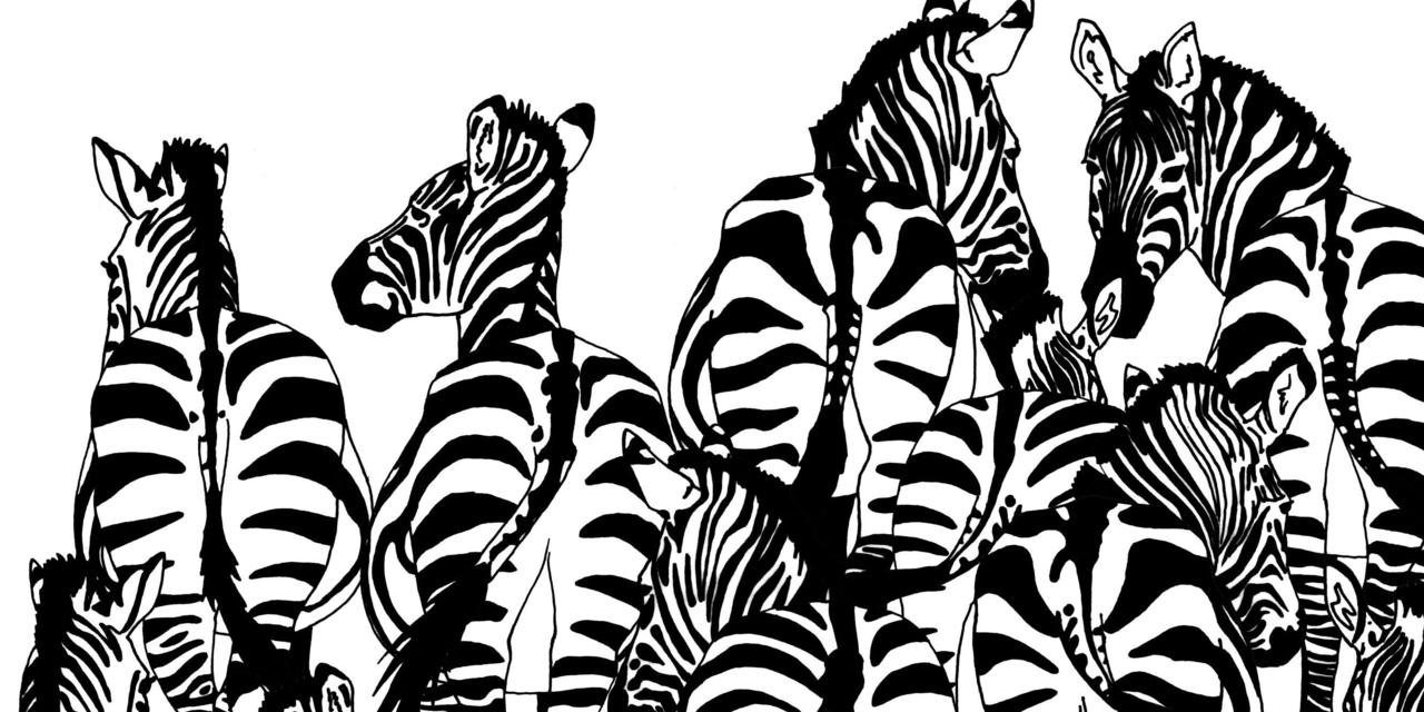 Volt, aki egy órán át kereste, hol rejtőzik a borz a zebrák között a BBC Earth optikai illúzióján