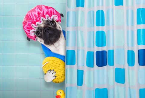 Nem a szag lesz a legnagyobb problémánk, ha egy évig nem fürdünk.