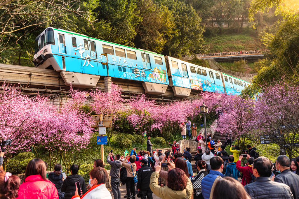 Chongqingban még a vonatutat is élénk rózsaszín cseresznyefák kísérik.