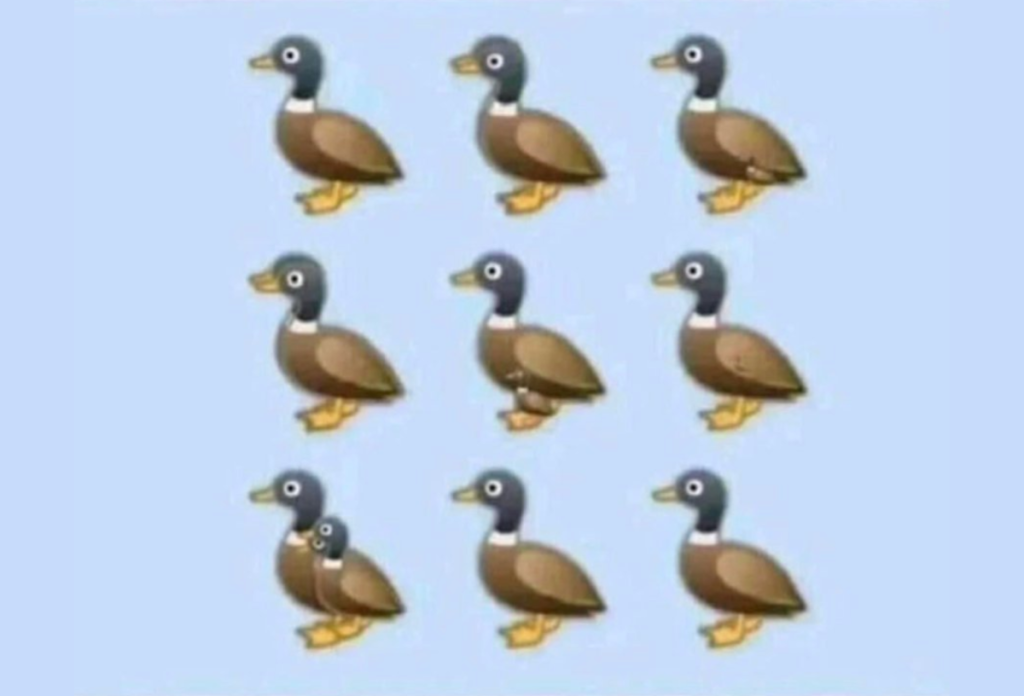 Meg tudod számolni, hány kacsa van a képen valójában?