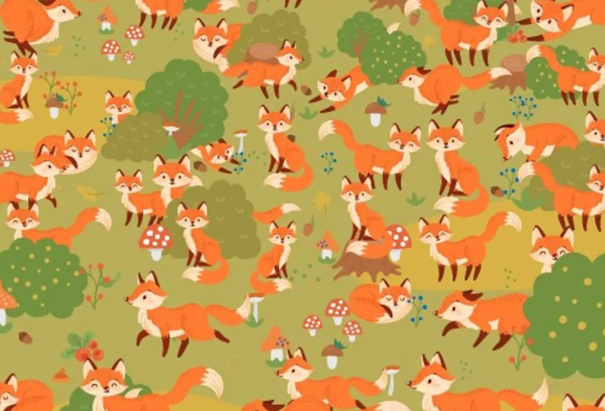 Can you spot the blue-eyed fox on an optical illusion?