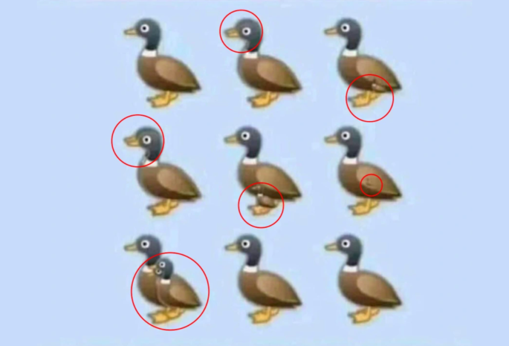 A piros körrel jelölt helyen találhatjuk a rejtőzködő kacsákat az optikai illúzión