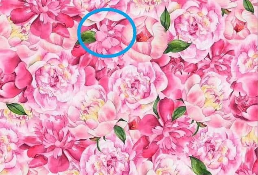 A rózsaszín lepke a rózsaszín virágok között a kék karikával jelölt helyen rejtőzik az optikai illúzión