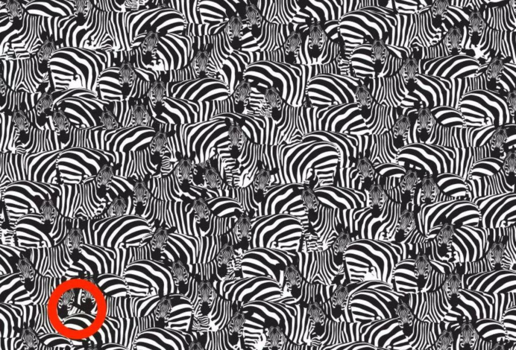 A fekete-fehér optikai illúzió bal alsó sarkában rejtőzik a zongorabillentyű